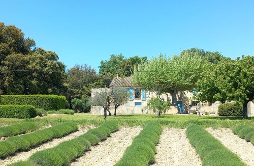 Valreas House | Les Chênes Verts - Vaucluse - Mas provençal 10p swimming pool in the countryside