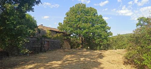 Saint-Julien-les-Rosiers House | LES MATHIEUX GITE cévenol