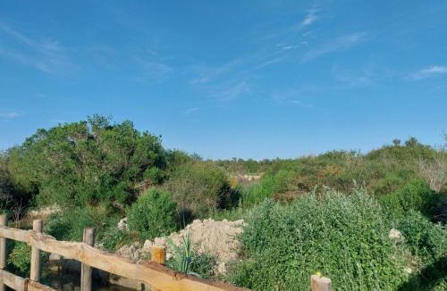 Saintes-Maries-de-la-Mer House | Logement cabane à la ferme