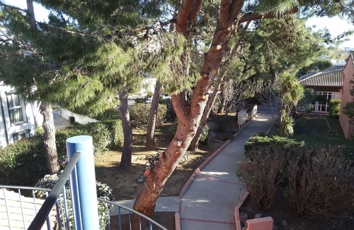 Les Hauts de Canet Apartment | Lovely apartment near city center