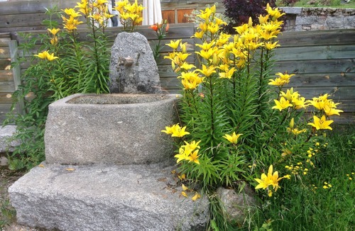 Saint-Alban-sur-Limagnole Cottage | Luminous gîte- 8 pers -Margeride, Aubrac, nature and peace