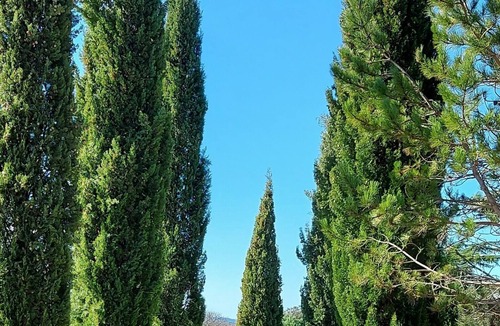 Monteils Villa | Luxurious villa in ales en cevennes