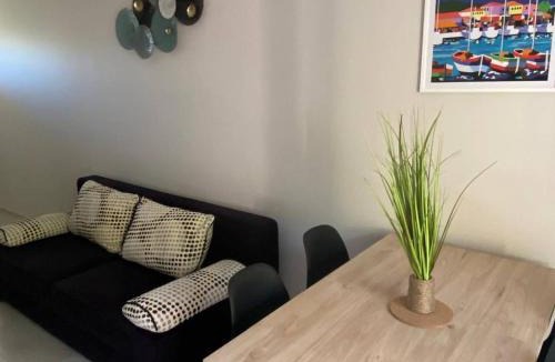 La Faviere Apartment | Magnifique T2 Cabine - Proche Plage & Commerces - FR-1-816-32