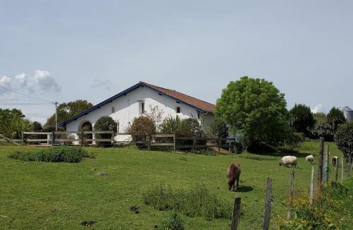 Saint-Lon-les-Mines House | Maison avec piscine entre océan et campagne