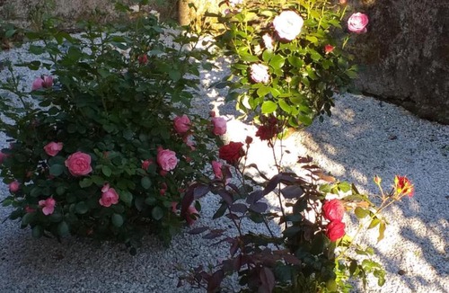 Le Fraysse Bed & Breakfast | Maison Belvoir