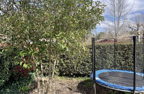 Salles House | Maison Familiale au Calme Grande Piscine, Bord de Forêt