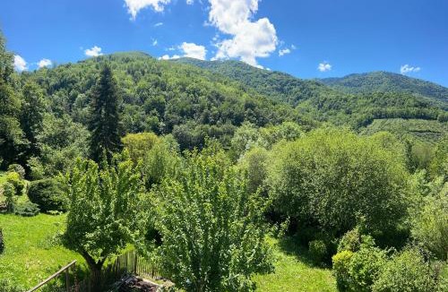 Montferrier Bed & Breakfast | Maison SItta