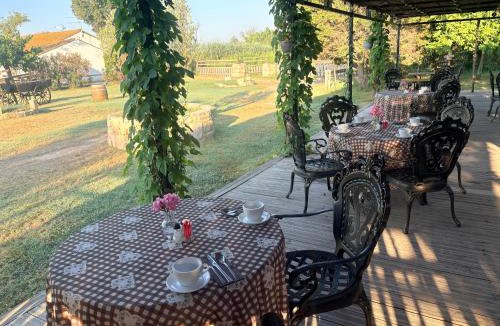 Saintes-Maries-de-la-Mer Bed & Breakfast | Manade des Baumelles