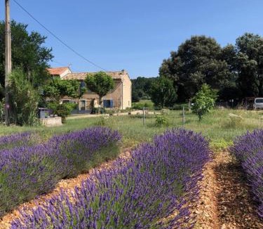 Bollene Bed & Breakfast | mas de costebelle