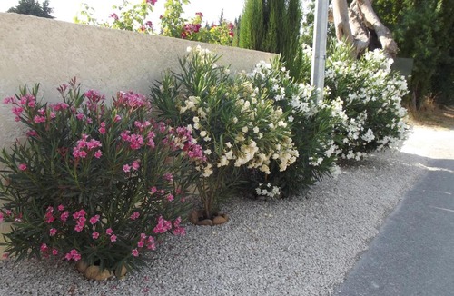 Paluds de Noves Bed & Breakfast | Mas De La Coucourde