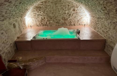 Saint-Martin-d'Ardeche Villa | Mas provençal d'exception avec spa - terrasse 130 m2 - parking privé et plage à pied - Départ des Gorges de l'Ardèche