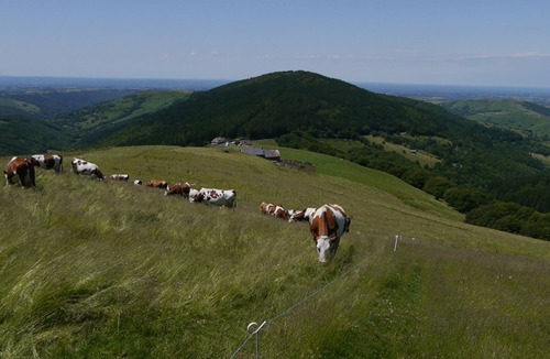 Vezac House | Mobile home in the heart of the cantal: calm, comfortable, practical and inexpensive