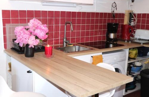Beuil Apartment | Mon Mounier : Studio cosy au pied des pistes/Vue de rêve !