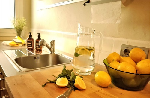 Adrall Apartment | Noa apartment, In the heart of the Pyrenees,