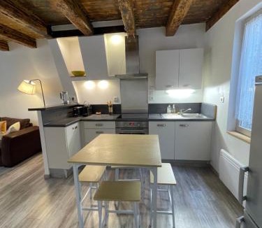 Le Puy-en-Velay Apartment | Nouveau- Maison de ville avec spa