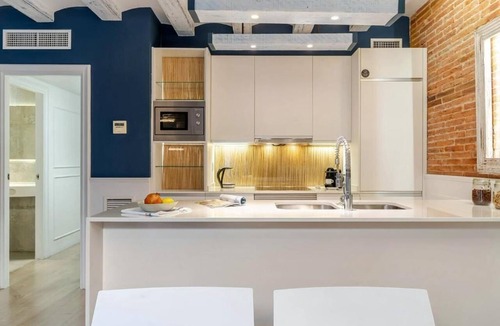 Gothic Quarter Apartment | Old Town building with rooftop terrace and pool! Unbeatable Location!