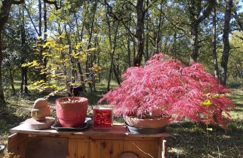 Penne House | pied à terre dans les gorges de l'Aveyron