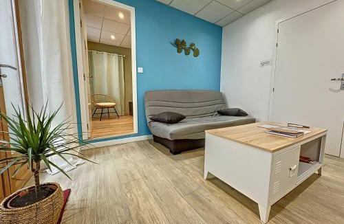 Millau Apartment | Quai 36 parking et wifi