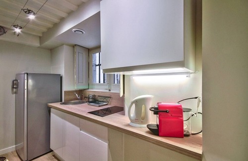 Griffon - Royale Apartment | Quiet and cozy 3-bedroom flat – Terreaux/Opéra