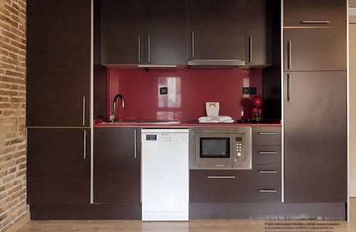El Raval Apartment | RAVAL 2hab terraza comunitaria 543