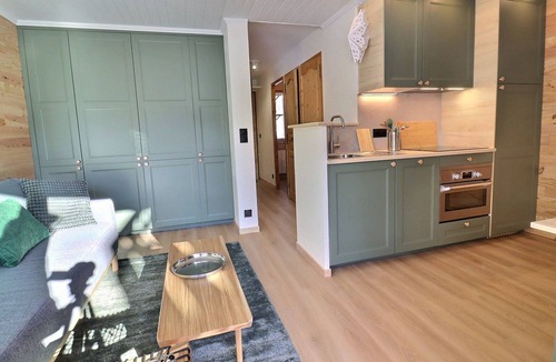 Meribel-Mottaret Apartment | Renovated 2-room cabin apartment, Méribel, pets allowed