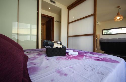 Salas de Pallars Apartment | Romantic Loft