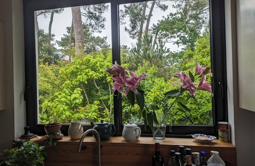 Saint-Georges-de-Didonne House | ROYAN Charming house in the pines 400 m from the beach, Parc district