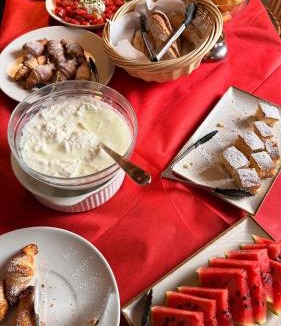 Saint-Michel-de-Maurienne Hotel | Savoy Hotel & Restaurant