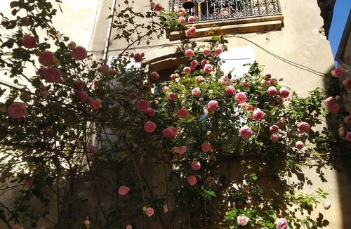 Aniane House | small private house nestled in the heart of historical Aniane.