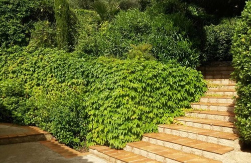 Grasse Villa | Spacious, Elegant Cote D' Azur Villa in the Hills Above Cannes