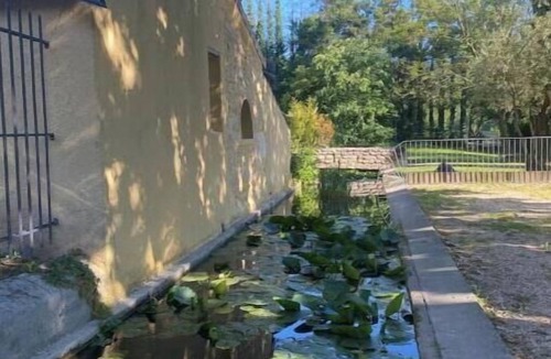 Loriol-sur-Drome House | Spacious Mas provençal with swimming pool, park & Koi ponds