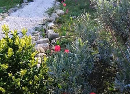 Casteil Bed & Breakfast | St Martin du canigou Chambres et Table d'hôtes de charme