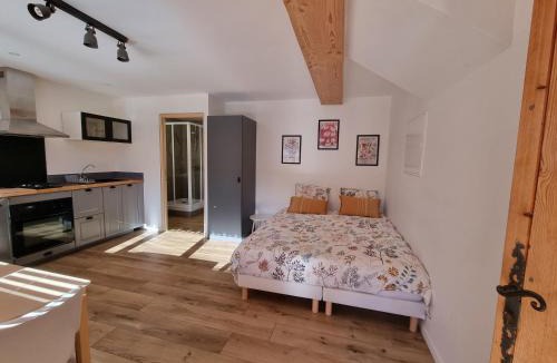 Lathuile Apartment | Studio 2 personnes - lumineux - Lac d'Annecy