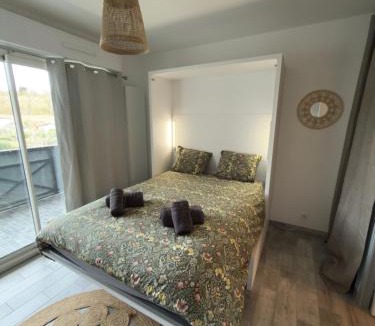 Cambo-les-Bains Apartment | studio bihotza