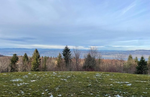 Thollon-les-Memises Apartment | Studio Bleuets du Léman vue sur lac