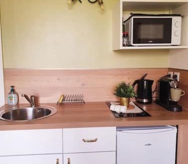Quartier Chorier-Berriat Apartment | Studio "Côté Jardin" Mutualiste Grenoble