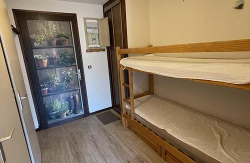 Laveissiere Apartment | Studio-cabine avec balcon proche pistes et parking - FR-1-787-113