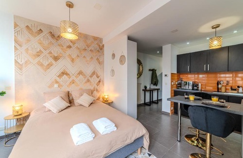 Saint-Roch - Badouillere - Chavanelle Apartment | Studio Caucase - Centre-ville Saint Étienne proximité parking