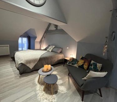 Romorantin-Lanthenay Apartment | Studio centre ville