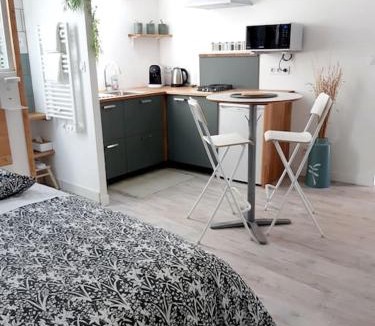Champ-sur-Drac Apartment | Studio Le Refuge