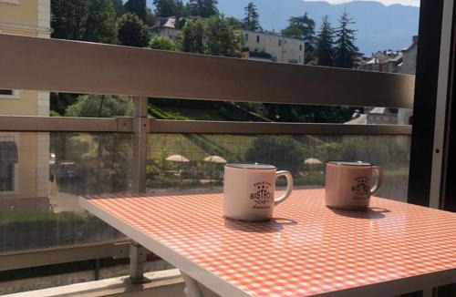 Aix-les-Bains City Center Apartment | Studio lumineux et fonctionnel à Aix-les-Bains, animaux admis - FR-1-555-10