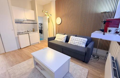 Saint-Cyprien Apartment | Studio Toulouse hyper centre Pont Neuf St Cyprien
