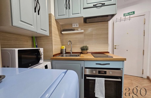 Vista Alegre Apartment | Studio with Wifi and A/C | Centro Sol & Gran Vía
