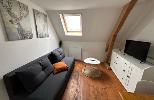 Bagneres-de-Bigorre Apartment | Superbe appartement proche centre ville, thermes