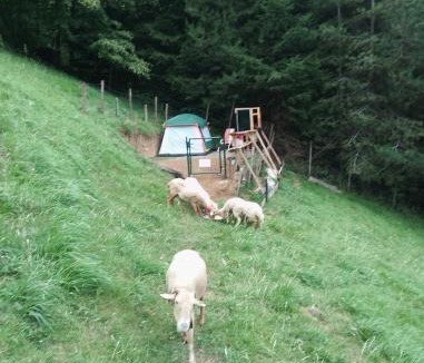 Sarrancolin Other | Tente tout confort