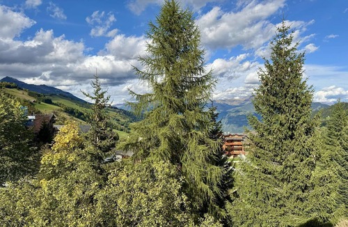 Valmorel Apartment | Teppes 46 - Cosy duplex ski in, ski out