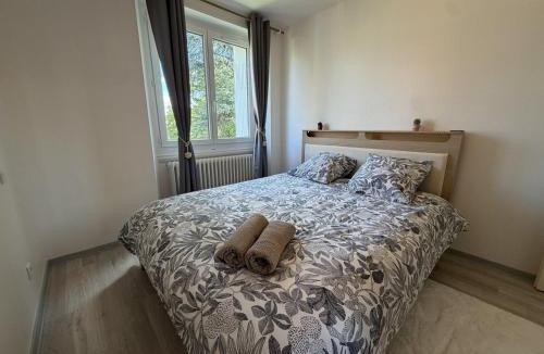 Vals-pres-le-Puy Apartment | The Reflection of the Dolaizon