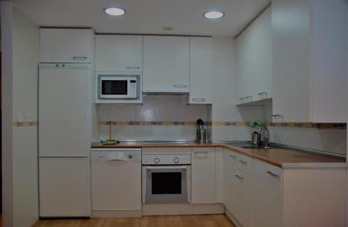 Escarrilla Apartment | TU APARTAMENTO EN EL VALLE DE TENA en ESCARRILLA