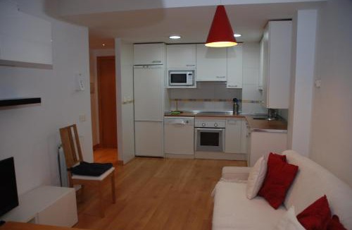 Escarrilla Apartment | TU APARTAMENTO EN EL VALLE DE TENA en ESCARRILLA