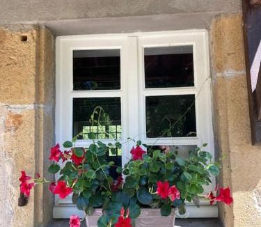 Prudhomat House | Vakantiehuis La Poire, op landgoed aan de Dordogne